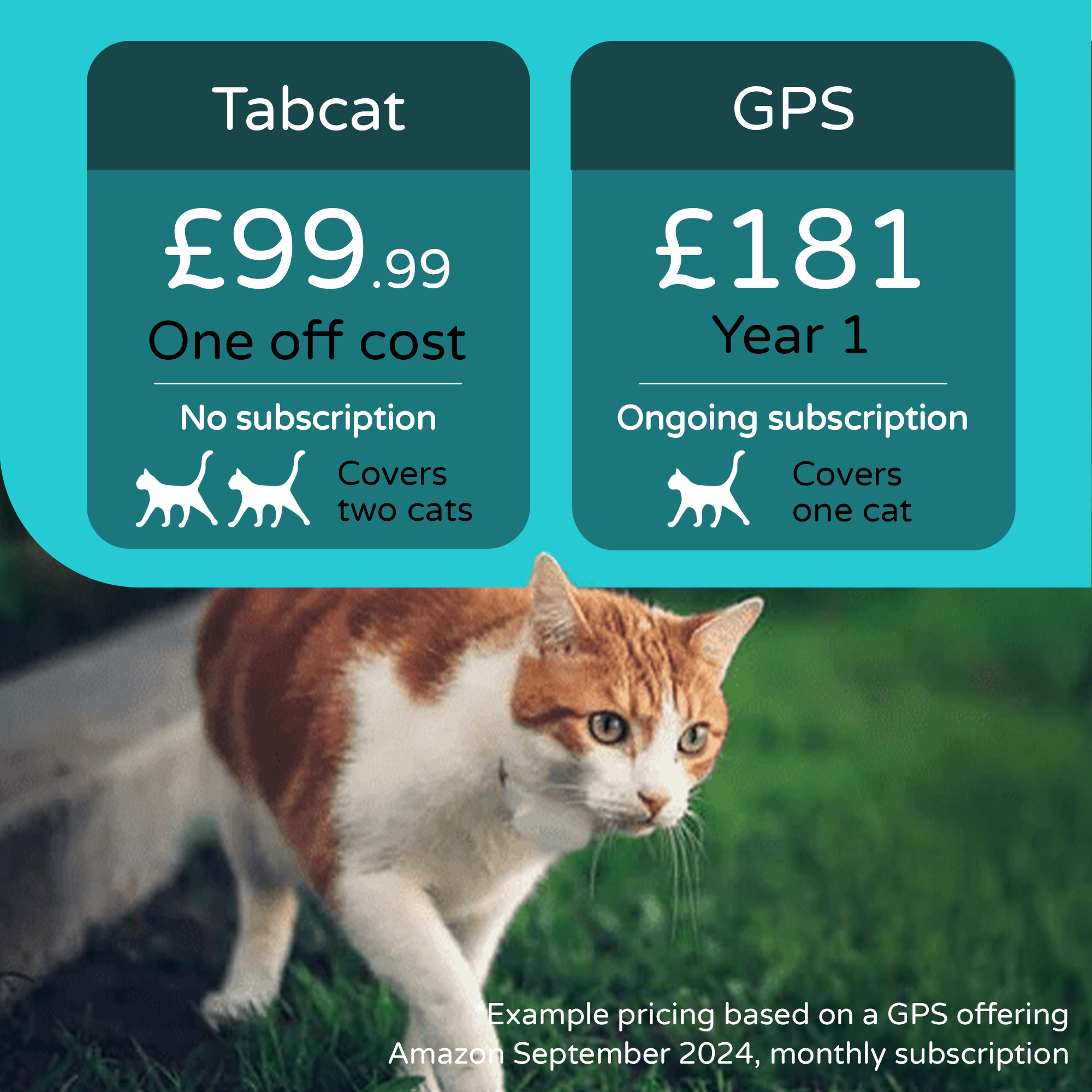 Tabcat Cat Tracker Device Tabcat Pack Tracker and Tags